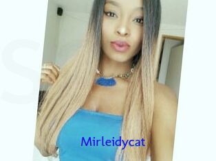 Mirleidycat