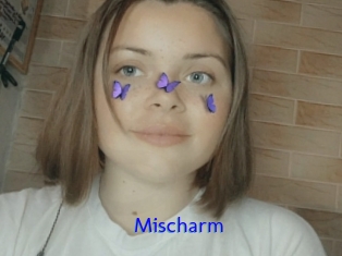 Mischarm