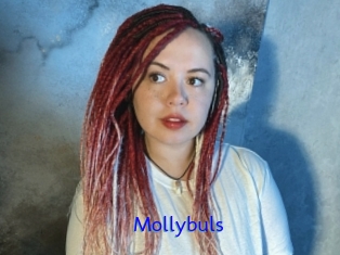 Mollybuls