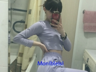 Monibleisi