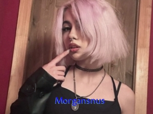 Morgansnus