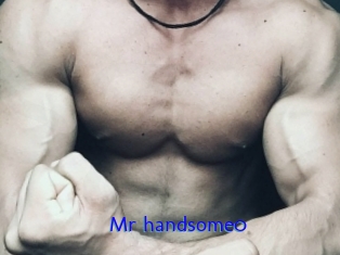 mr_handsome0 Sexo Gratis