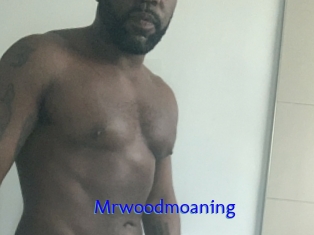 Mrwoodmoaning