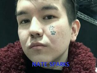 NATE_SPARKS