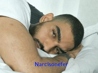 Narcisonefer