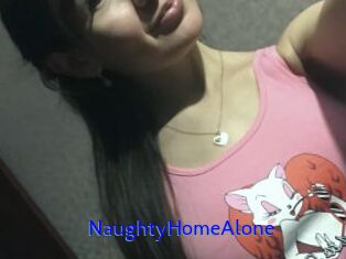 NaughtyHomeAlone