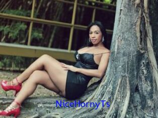NiceHornyTs