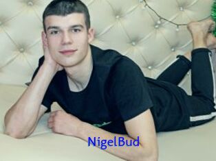 NigelBud