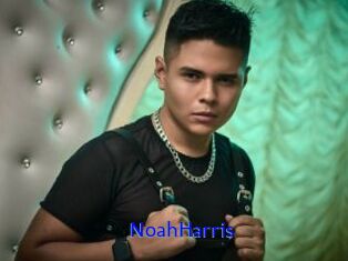 NoahHarris