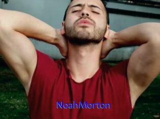 NoahMorton