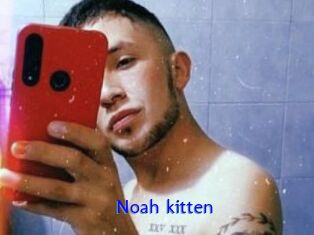 Noah_kitten