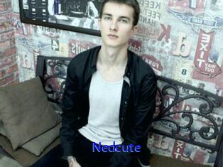 Nedcute