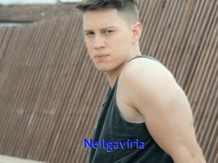 Neilgaviria