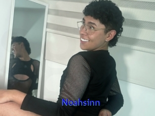 Noahsinn