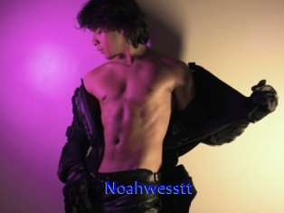 Noahwesstt