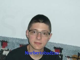 Norbertobadzso