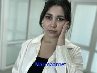 Normaarnet