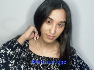 Normadrudge