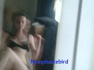 Nymphettebird