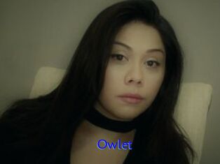 _Owlet_
