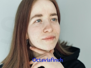 Octaviafinch