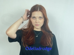Odeliadrudge
