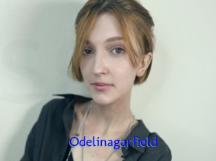 Odelinagarfield
