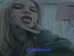 Odellahamm