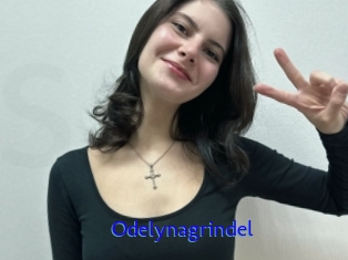 Odelynagrindel