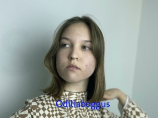 Odiliaboggus