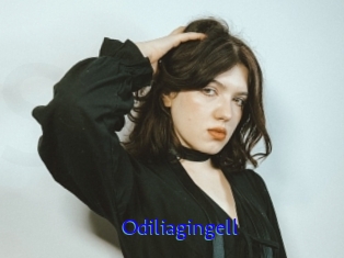 Odiliagingell