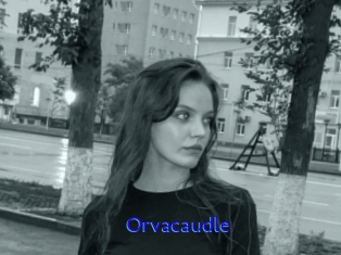 Orvacaudle