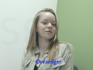 Orvaedger