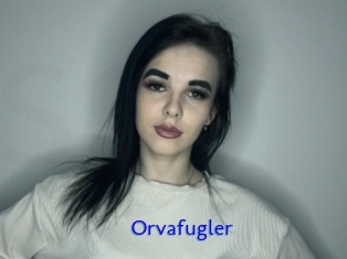 Orvafugler