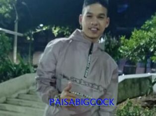 PAISABIGCOCK