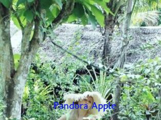 Pandora_Apple