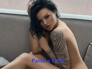 Pantera_Flash