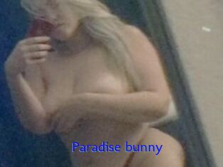 Paradise_bunny