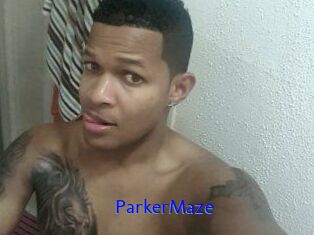 Parker_Maze
