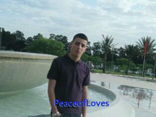 PeaceofLoves