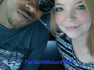 PerfectMixture3828