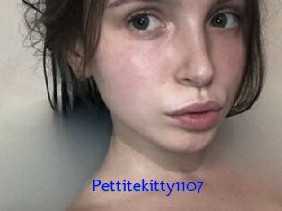 Pettitekitty1107
