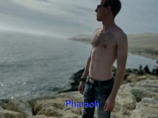 Pharaoh