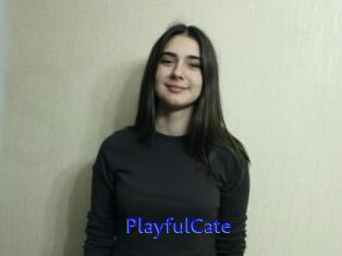 PlayfulCate
