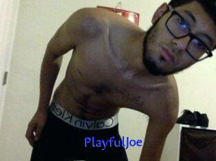 PlayfulJoe