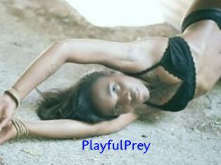 PlayfulPrey