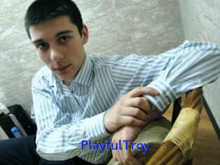 PlayfulTroy