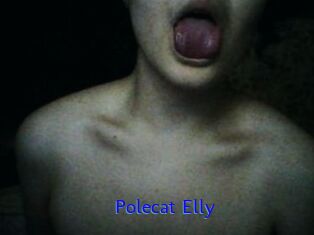 Polecat_Elly