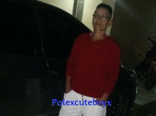 Polexcuteboyx
