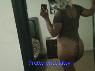 Pretty_phat_kitty